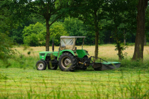 ZGT03: Flächenanteil verbleibt ungemäht bei der letzten Mahd