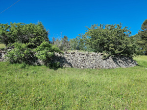 ZGT07: Es gibt Lesesteinmauern
