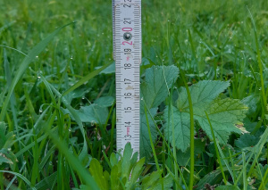 ZGT04: Aufwuchs ist ab Datum mindestens 10 cm hoch