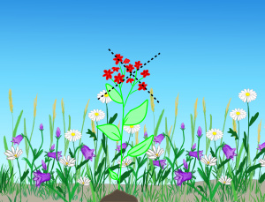 EBNE04: Neophyten kommen auf der Fläche nicht zur Blüte